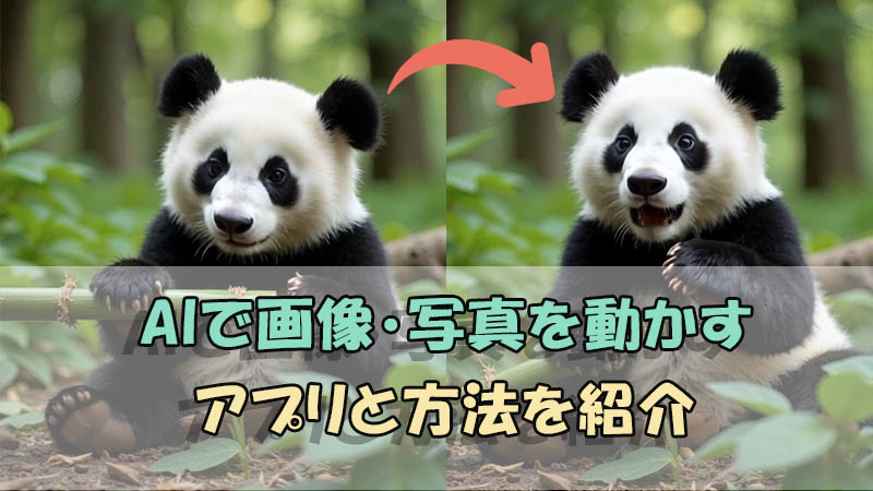 【 2026 最新】画像・写真を動かすAIアプリ・サイトと方法を紹介！